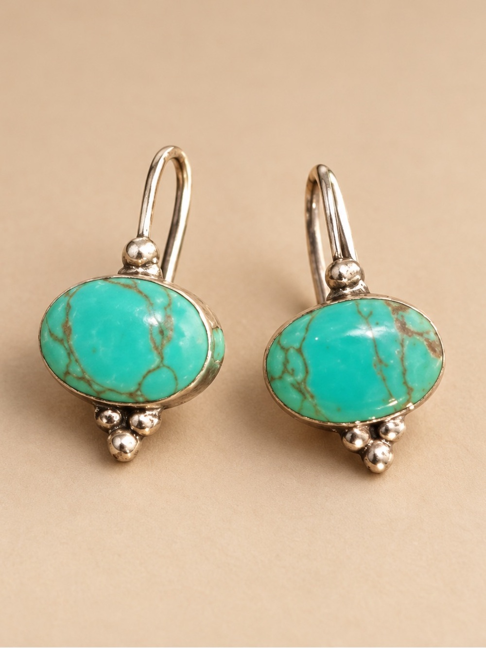 Turquoise Oval Drop Earrings with Silver Accents - Turquoise